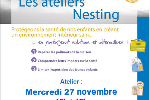 Atelier Nesting (Environnement du nouveau né) Saint Palais 27 novembre